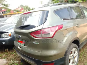 Ford Escape SE 2013 Gold