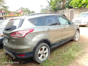 Ford Escape SE 2013 Gold