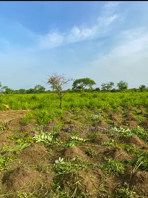12 Plots of Secure Land for Sale (Very Affordable)