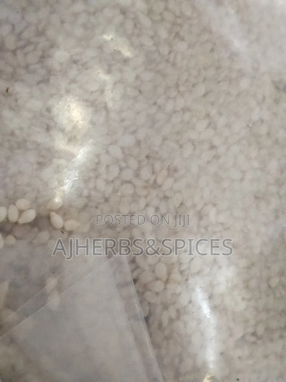 Sesame Seeds