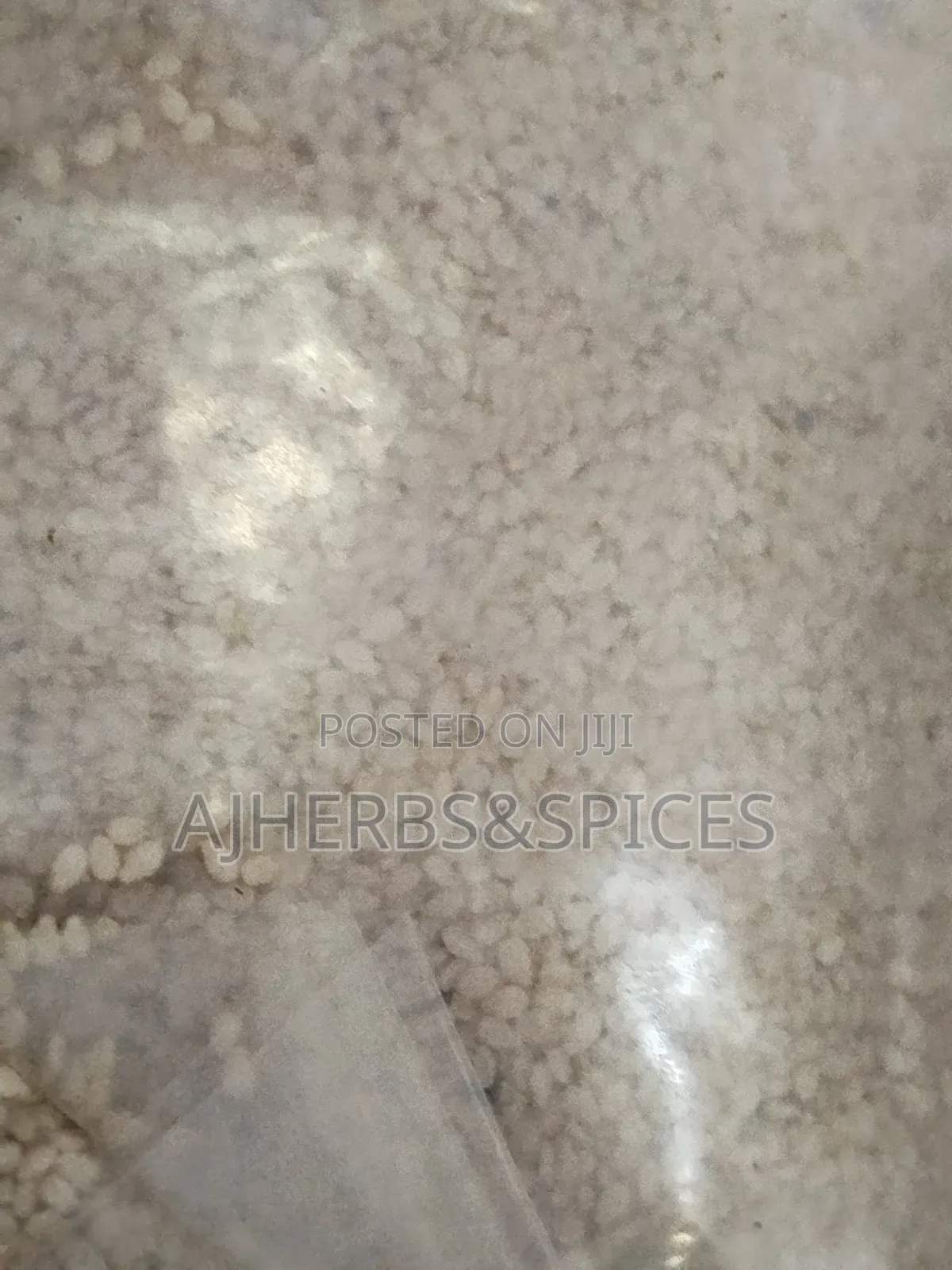 Sesame Seeds