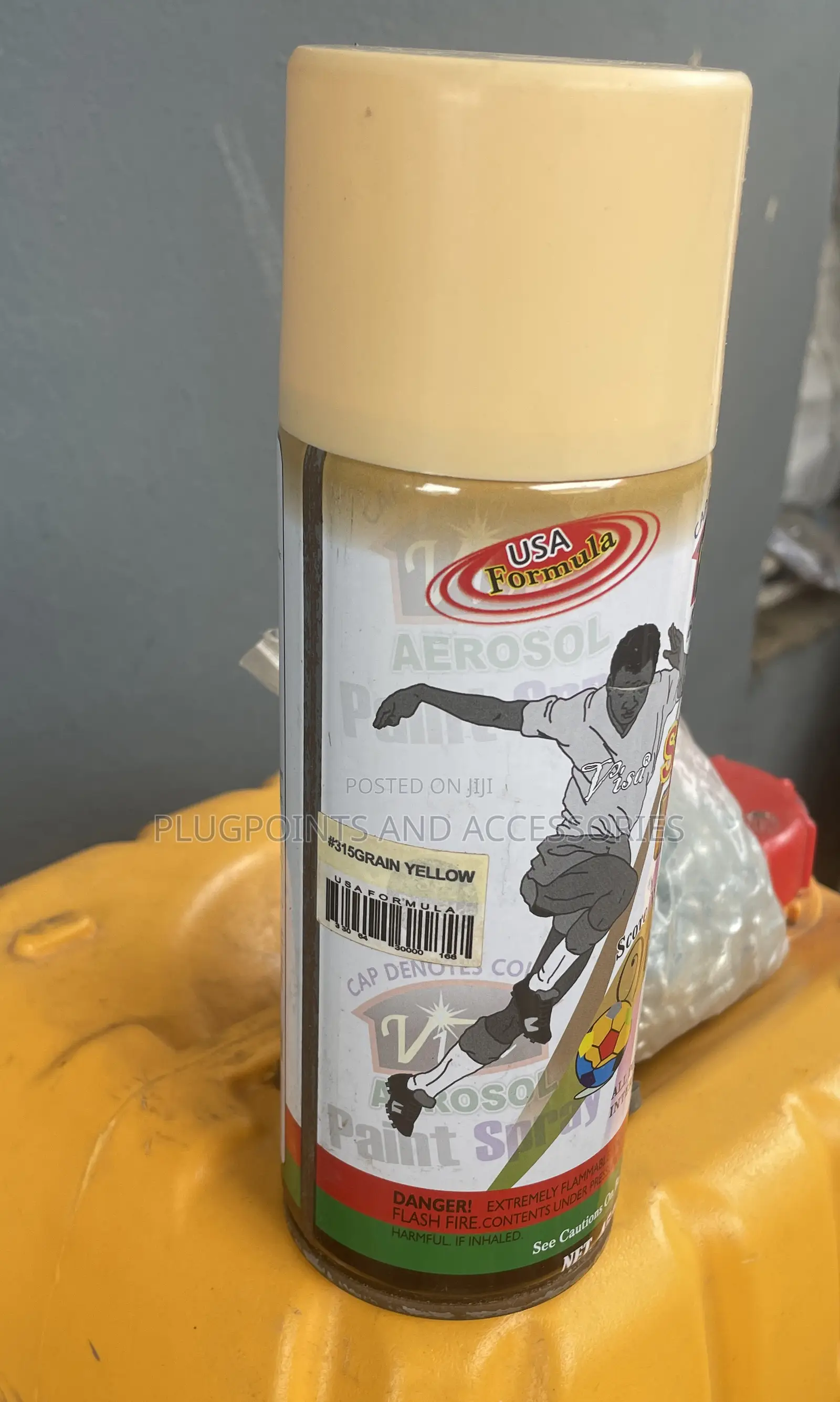 Visa Areosol Spray Paint