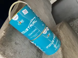 4liters Industrial Care Paint