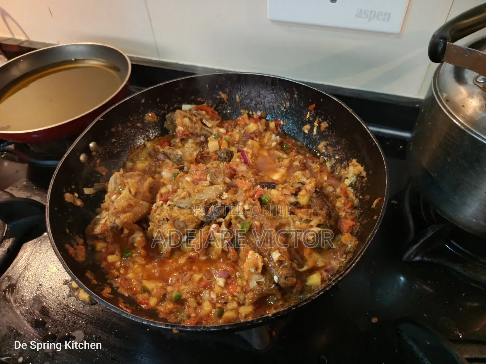 Professional Chef
