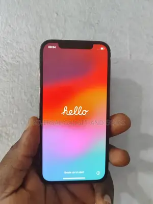 Apple iPhone 12 Pro 256 GB Gray