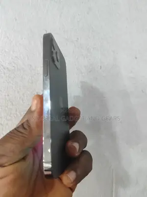 Apple iPhone 12 Pro 256 GB Gray