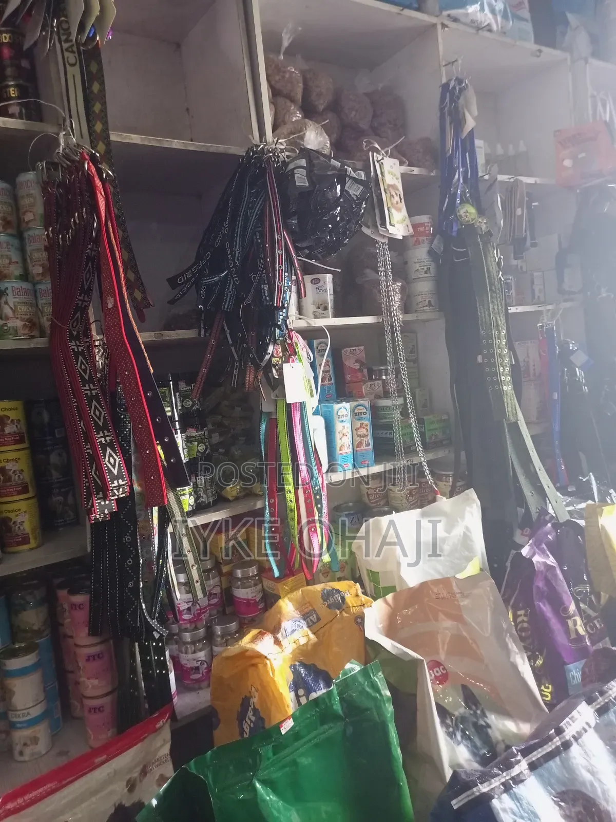 Leash Belt Mask Drugs