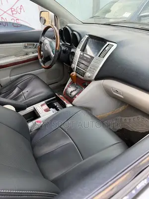 Lexus RX 330 2004 Silver