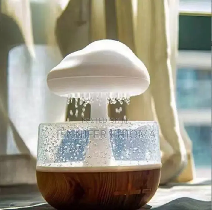 Raindrop Humidifier
