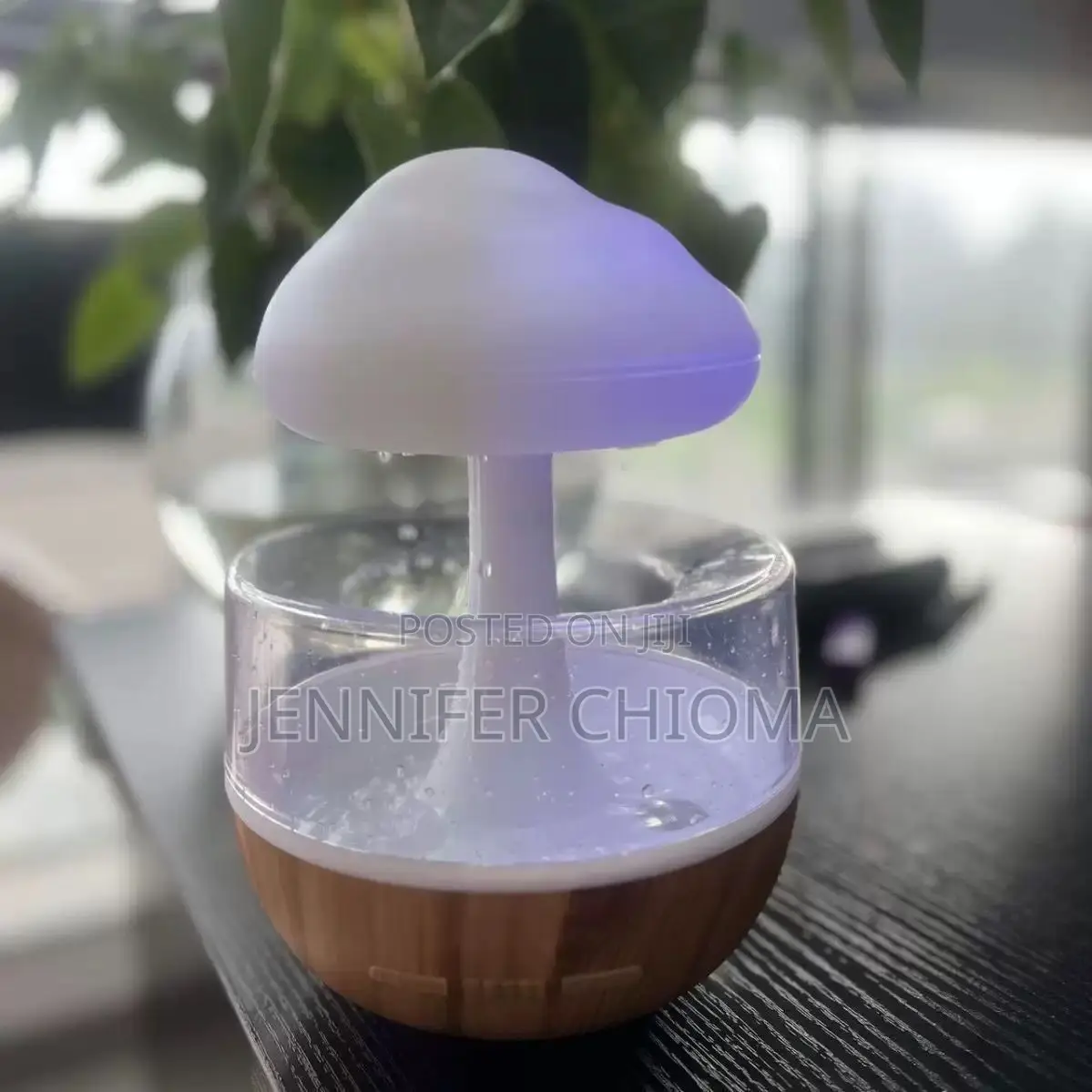 Raindrop Humidifier