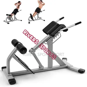Multifunctional Roman Chair Commercial/Home Hyperextension Bench P.H