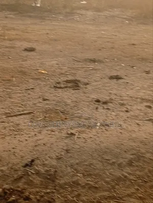 500sqm in a Liveable Estate by the Express, Galadimawa
