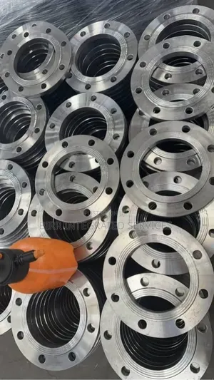 Flanges And Valves