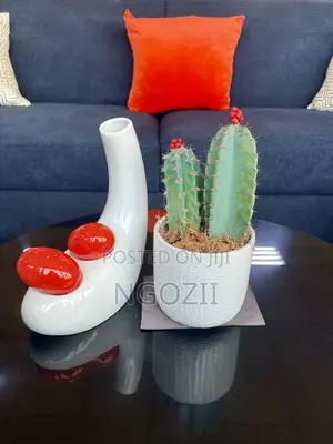Succulent, Cactus Plant