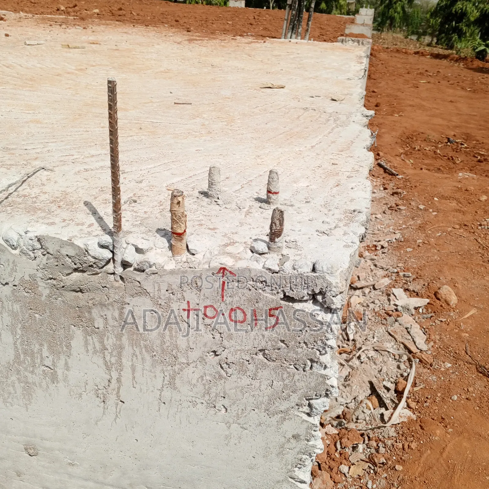 Land Surveyor