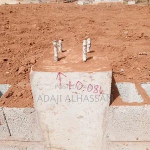 Land Surveyor