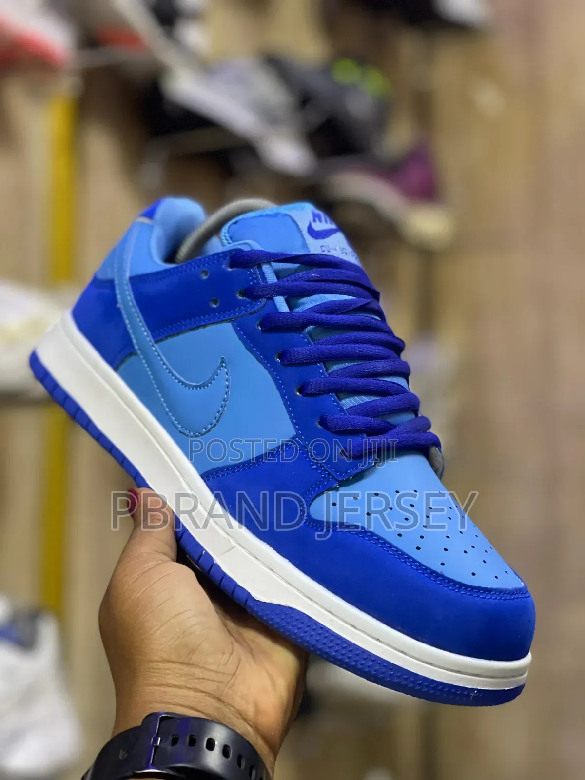 Nike Sb Dunk Low Sneakers
