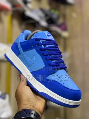 Nike Sb Dunk Low Sneakers