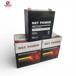 Nst Power 12v 5ah Replacement Battery Np5-12 12v5ah/20hr