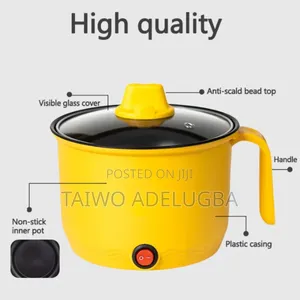 Unique Electric Cooking Pot
