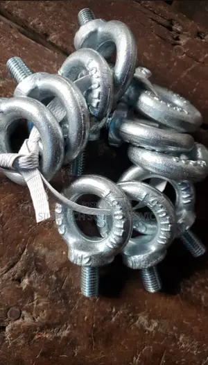 Male and Femal Eye Bolt