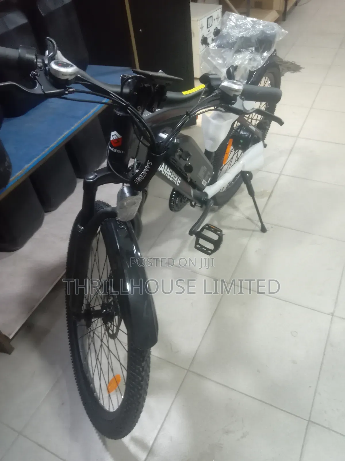 Sam Adult Electric Bicycle With Helmet