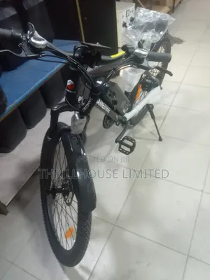 Sam Adult Electric Bicycle With Helmet