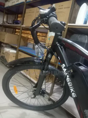 Sam Adult Electric Bicycle With Helmet