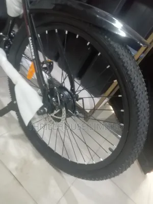 Sam Adult Electric Bicycle With Helmet