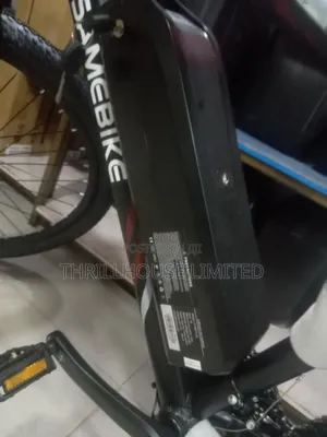 Sam Adult Electric Bicycle With Helmet