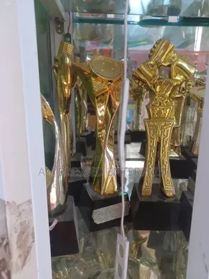 Trophy Award for High Rated Recognition