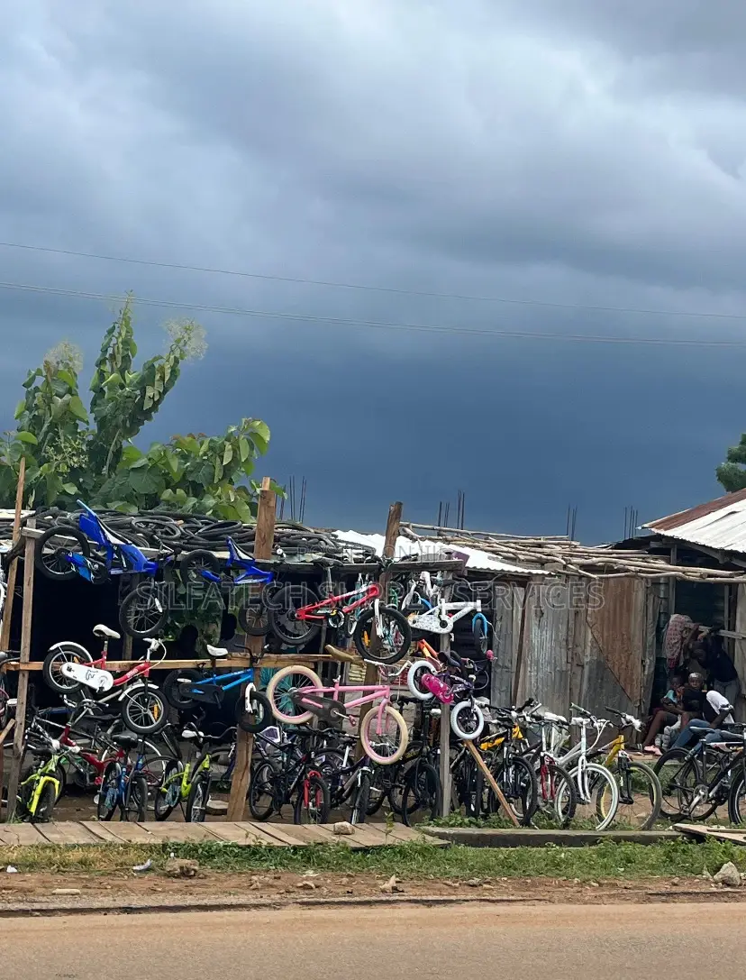 Original Bicycle