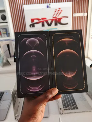 New Apple iPhone 12 Pro Max 256 GB Silver