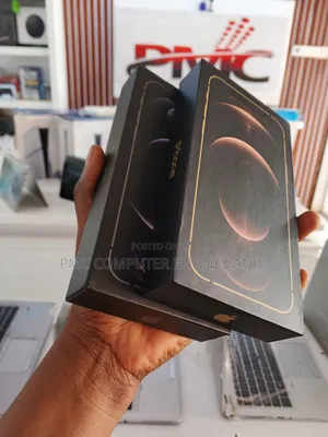 New Apple iPhone 12 Pro Max 256 GB Silver