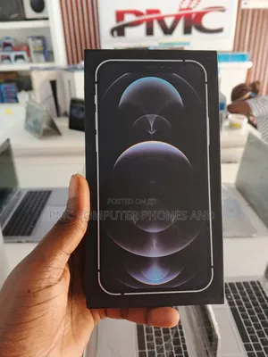 New Apple iPhone 12 Pro Max 256 GB Silver
