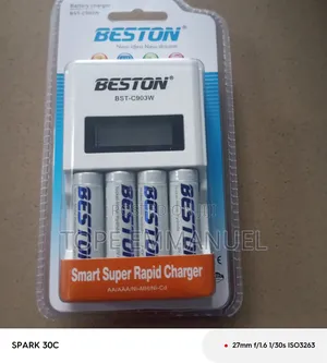 Beston Rechargeable Battery With Charger