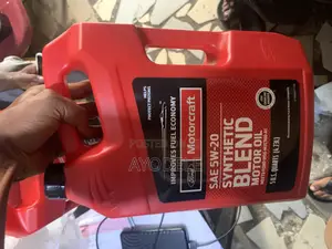 Original Motorcraft Engine Oil for All Ford Cars