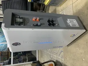 Lvtopsun Lithium Ion Battery