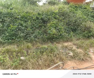 An Acre of Farmland for Sale