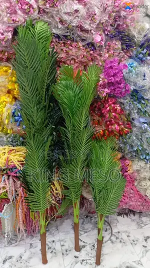 Single Palm Available in Three Sizes