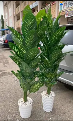 Plam Leaf and Pot Available as Seen