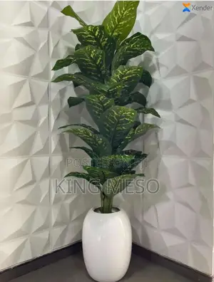 Fiber Pot With the Plant Available