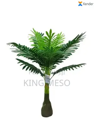 Plam Leaf Available