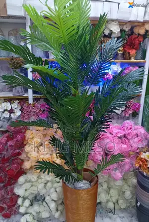 Pot and Plant Available as Seen Imported Not Nigeria
