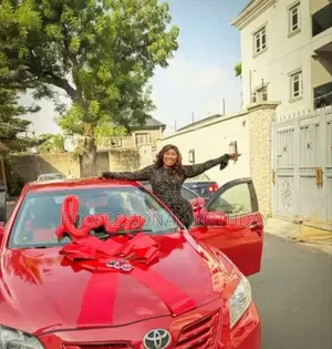 Car Bow for Car Gift