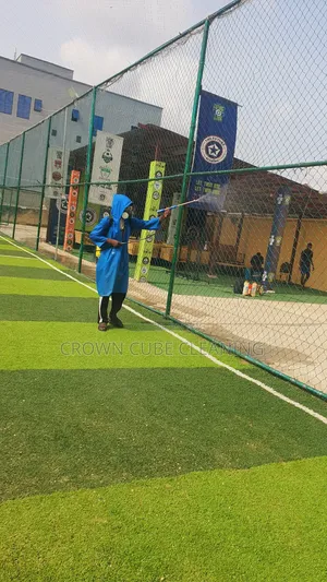 Snake Pest Control / Fumigation Services Ikeja