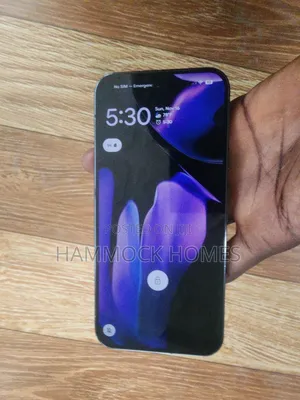 Google Pixel 9 Pro XL 256 GB Gray