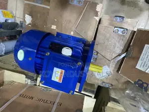 Electric Motor