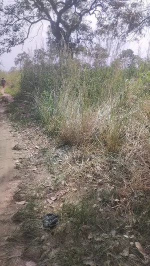 30 Plots of Land for Sale