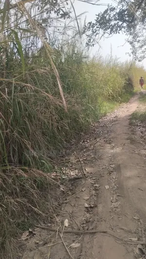 30 Plots of Land for Sale